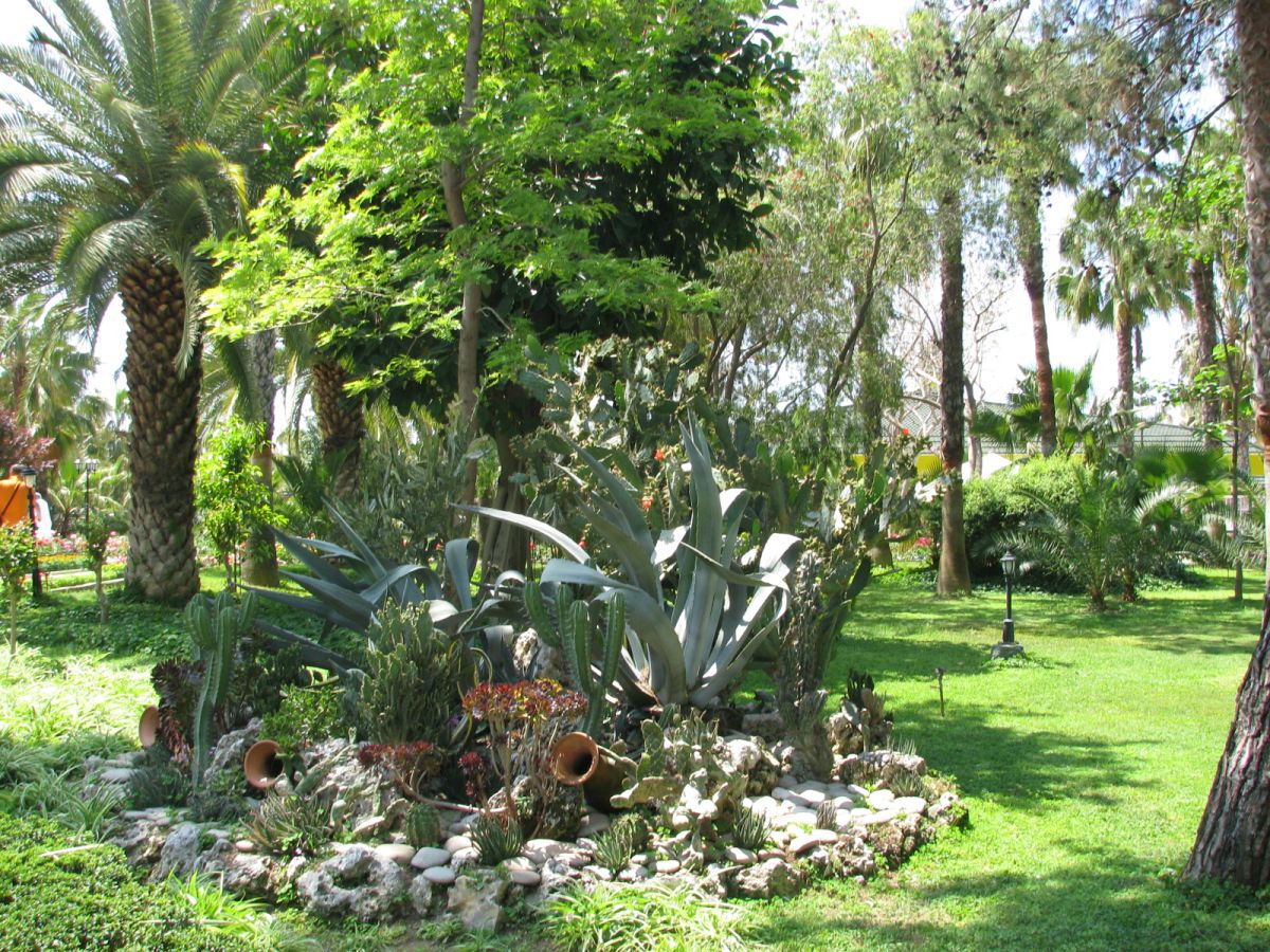 imagini hotel DELPHIN BOTANIK